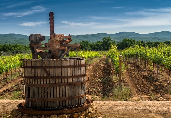 Gunko Winery вид на винодельню.jpg
